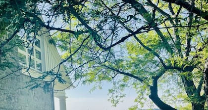 Beautiful Lakeside Stone Mansion w Massive Waterfront & all the toys and views