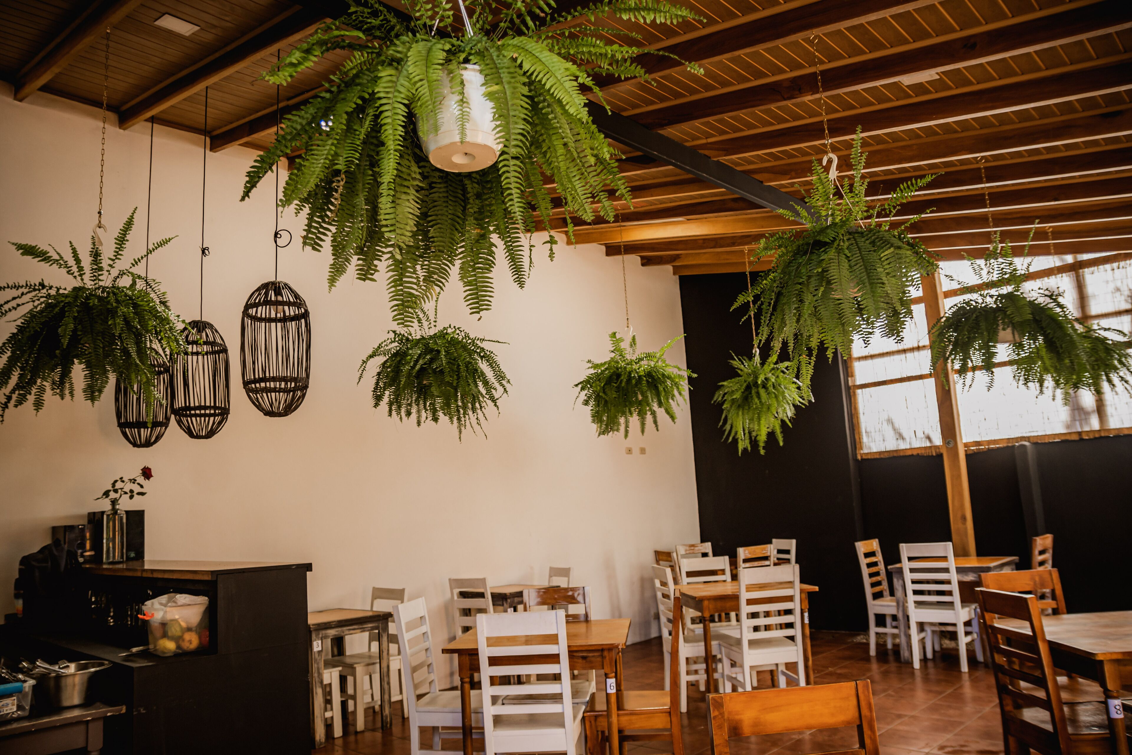 Foto - Hotel Luz de Luna