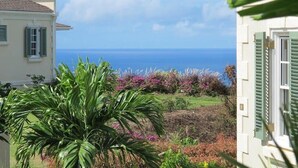 Una vista costiera con una casa, una palma e fiori viola.
