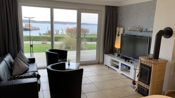 Smart TV, fireplace, DVD player, books