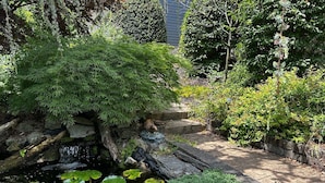 Ein Garten mit einem kleinen Wasserfall, Steintreppe und üppigem Grün.