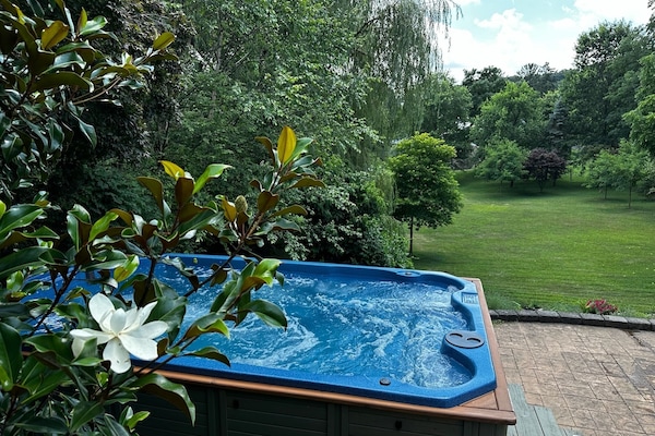 Outdoor spa tub