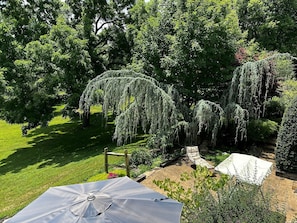 Terrain de l’hébergement 