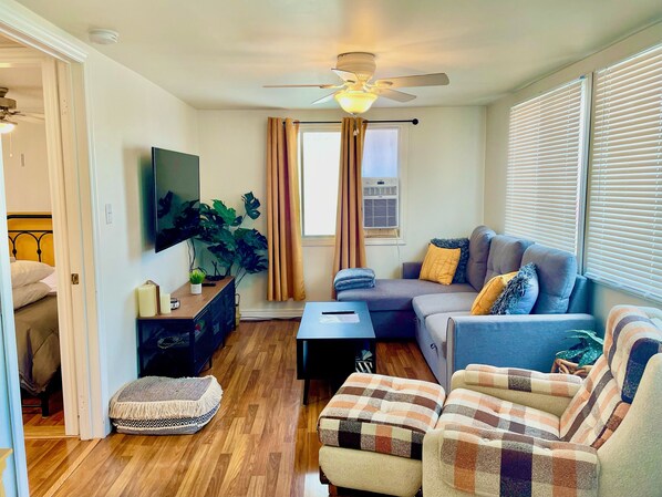 Smart TV, fireplace, DVD player, books