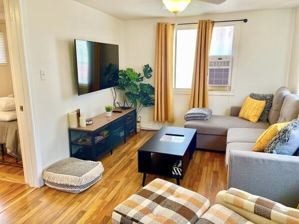 Älytelevisio, takka, DVD-soitin, kirjoja