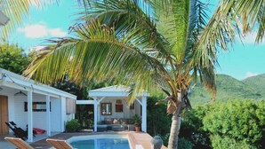 A poolside area with lounge chairs, a wooden deck, and a palm tree. - Villa Moringa Vue Mer - 5 mn Orient Bay or Grand Case (ST MARTIN)
