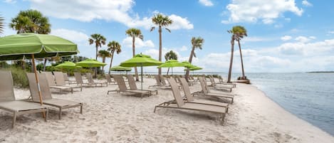 A beach with rows of sun loungers and green umbrellas, palm trees, and a clear sky.