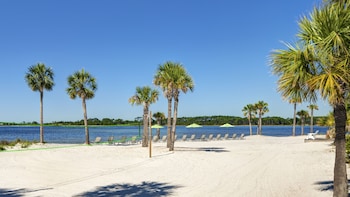 Relax on the beach with sun loungers facing the ocean, surrounded by palm trees and lush greenery. at Bluegreens Bayside Resort and Spa