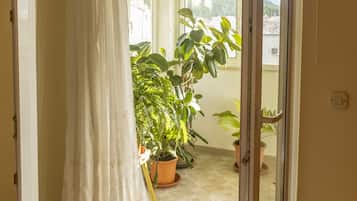Departamento (A1) | Terraza o patio