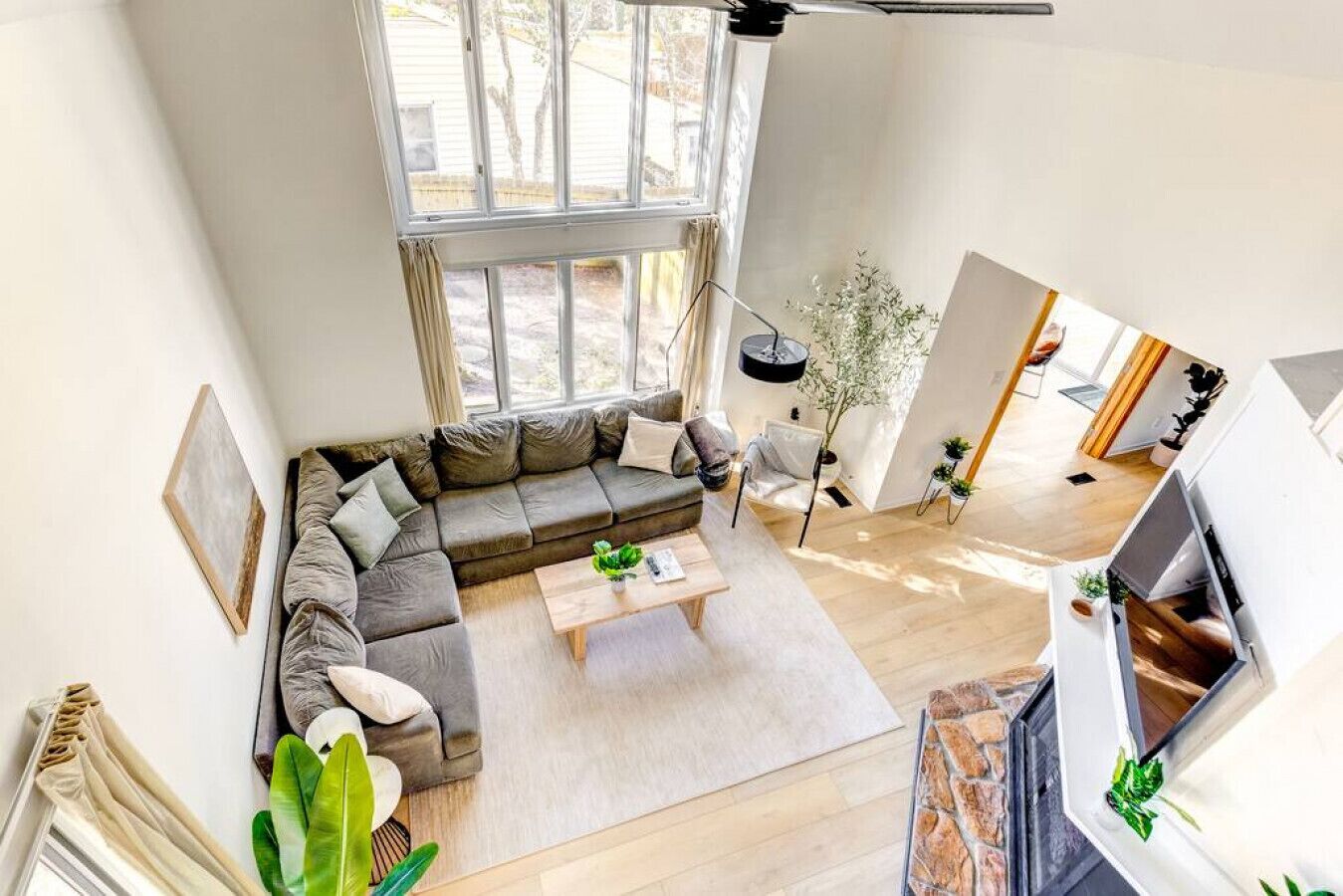 Smart TV, fireplace, video games, books