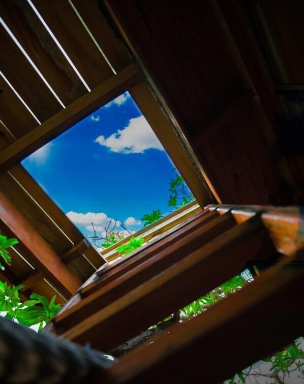 Vista desde la propiedad