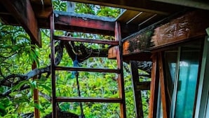 Une terrasse en bois avec une échelle de corde menant à une fenêtre donnant sur une végétation luxuriante.