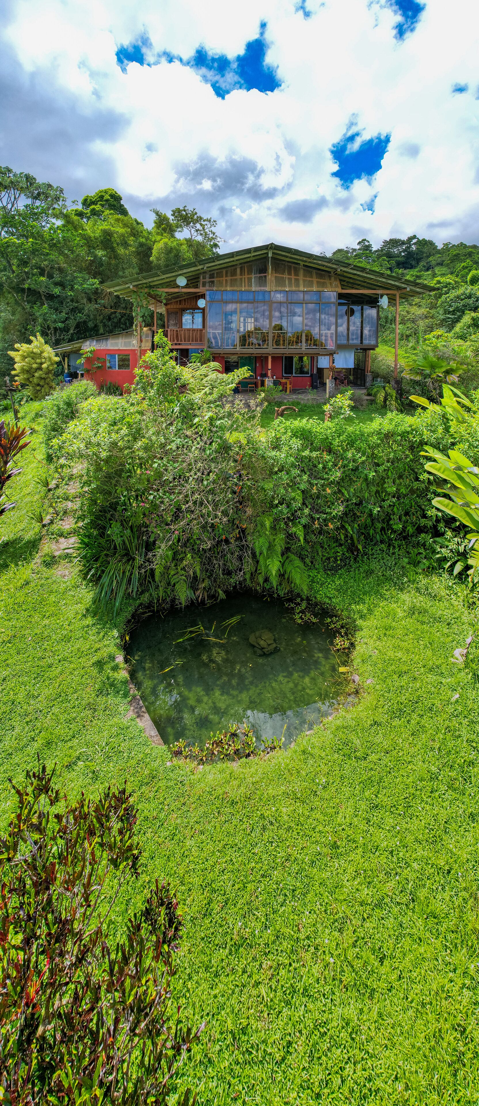 A house surrounded by lush greenery and a small pond.