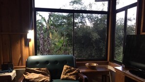 Une pièce chaleureuse avec un canapé vert, une table en bois et un téléviseur.