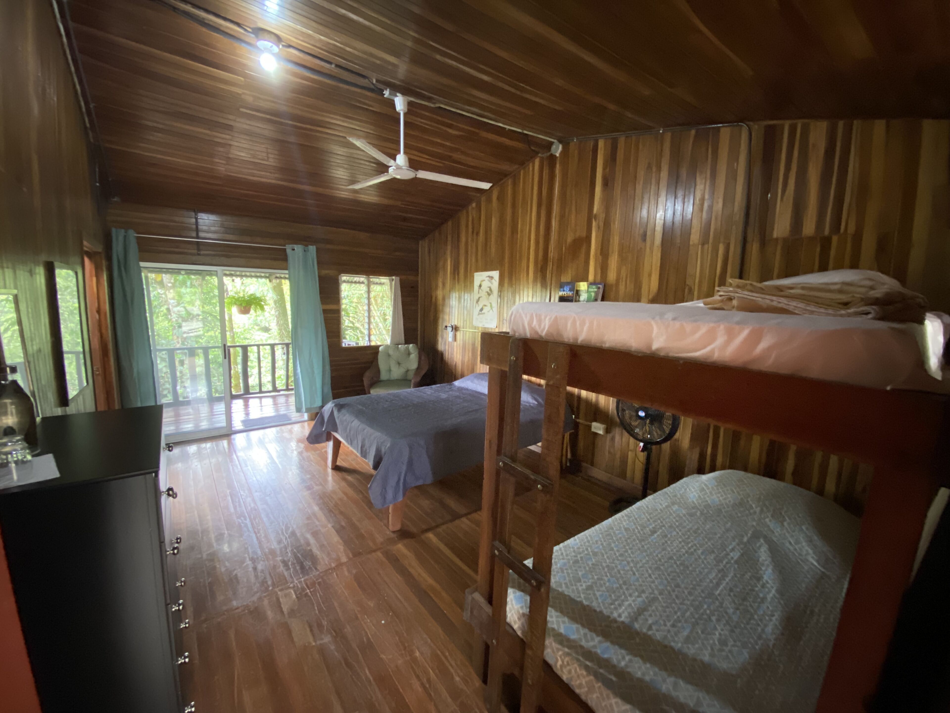 Eine Holzhütte mit Holzwänden und -böden, zwei Stockbetten, einem Deckenventilator und einem großen Fenster mit Vorhängen.