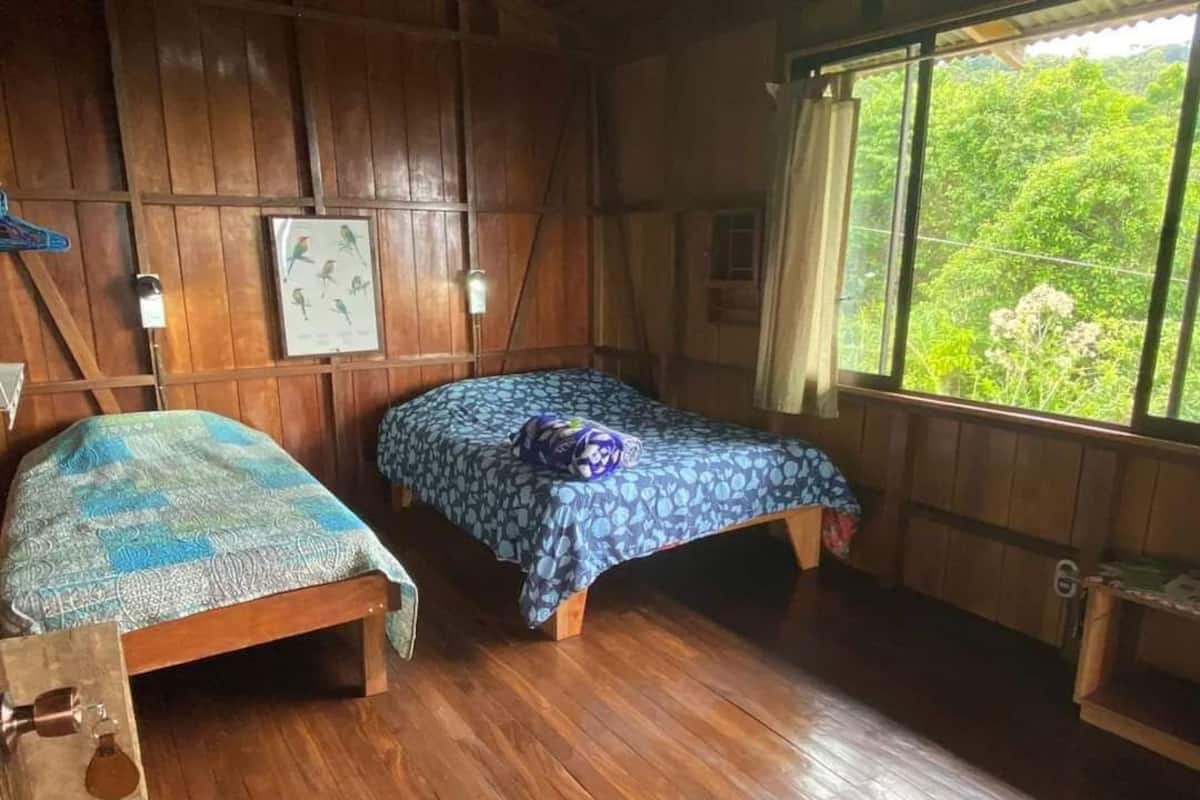 A room with two wooden beds, a wooden floor, a window with a view of greenery, and a framed picture on the wall.
