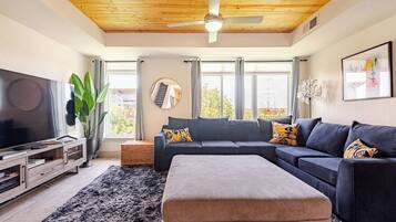 Televisión, chimenea, videojuegos y reproductor de DVD