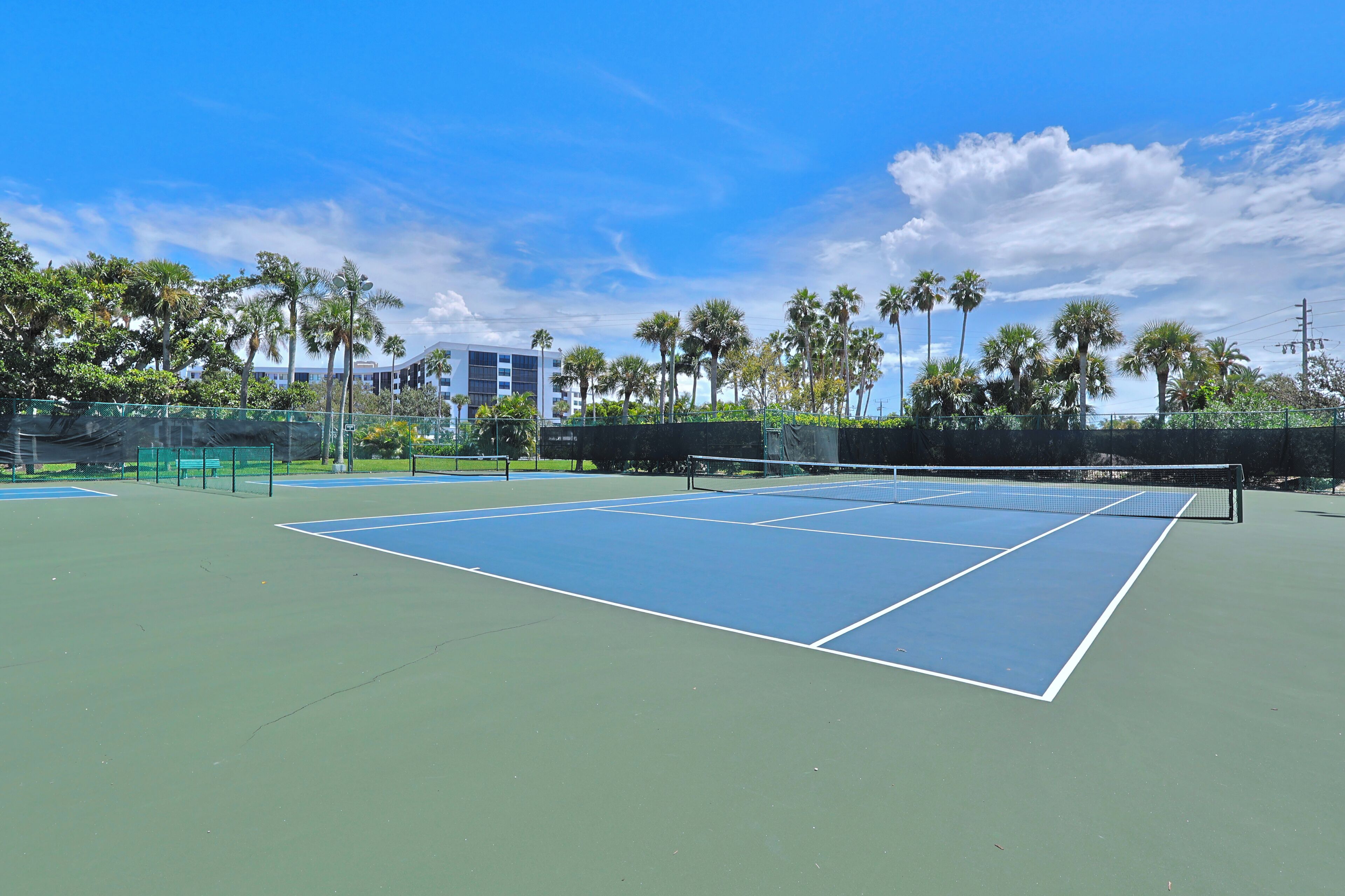 An outdoor tennis court with a net, surrounded by palm trees and a clear sky.