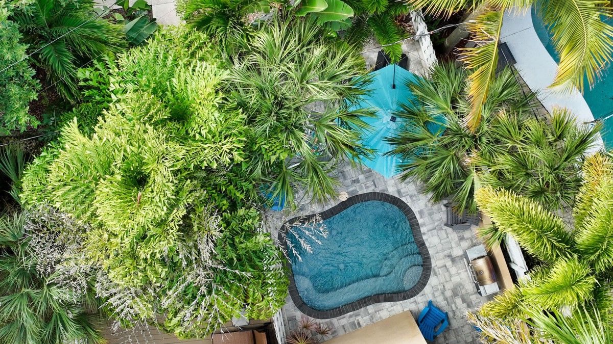 An aerial view of a landscaped area with a swimming pool, surrounded by various types of greenery and a stone pathway.