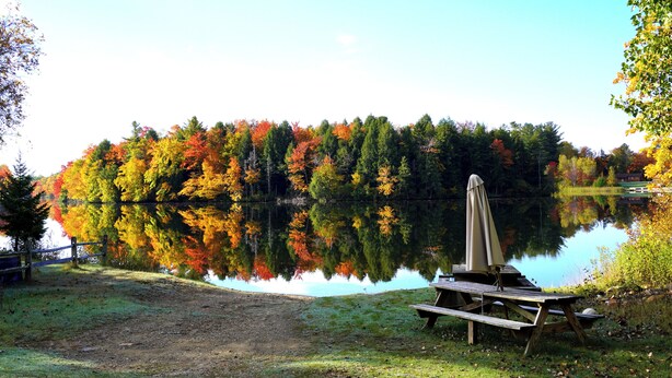 Un espace de pique-nique au bord du lac, avec un banc et un parasol, entouré d’arbres aux couleurs automnales.