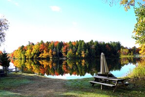 Un espace de pique-nique au bord du lac, avec un banc et un parasol, entouré d’arbres aux couleurs automnales.
