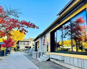 Exterior - *Posh 2BR in the Heart of the Pittsford Village* (Pittsford)