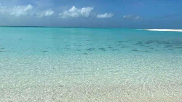 Una vista despejada de una playa con aguas turquesas y una orilla arenosa.