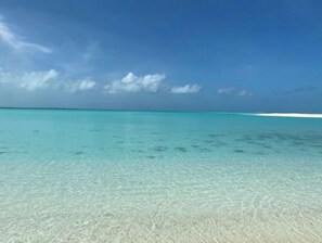 Ein klarer Blick auf einen Strand mit türkisblauem Wasser und einem Sandufer.