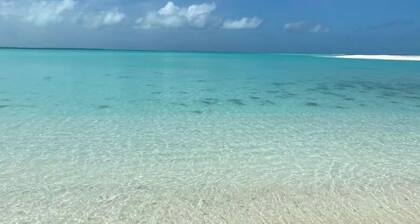 Whispering Palms - Pool View - Ocean Villas 922