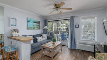 Smart TV, DVD player, books, video library