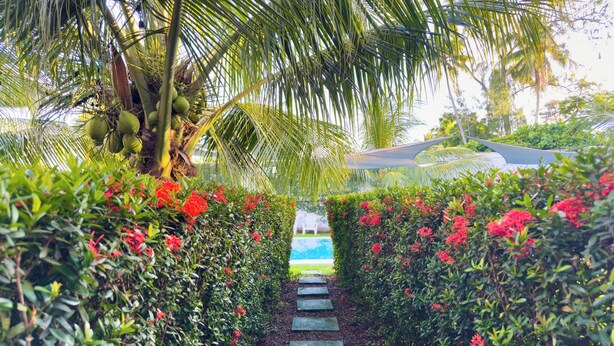 A pathway lined with red flowers and palm trees, leading to a pool area. - Hotel Majahual Resort  (La Libertad)
