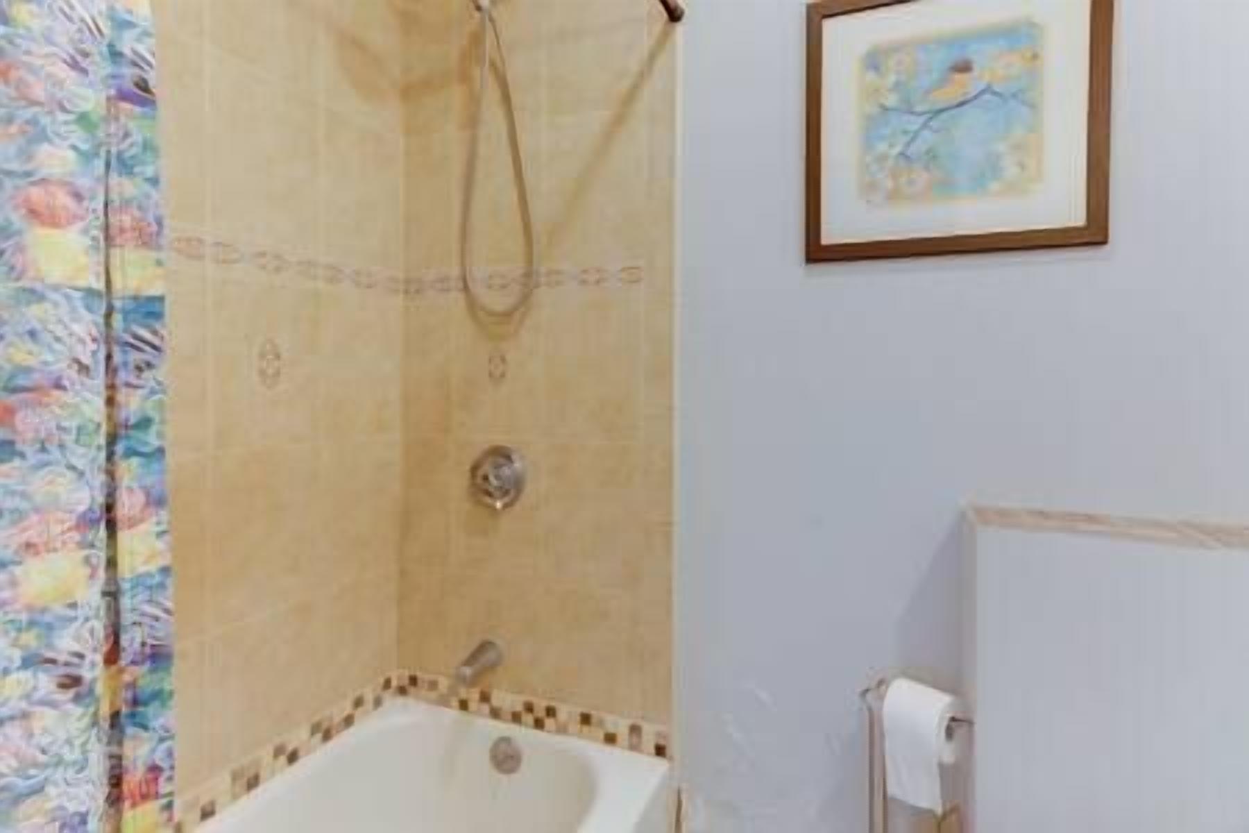 Bathtub, free toiletries, hair dryer