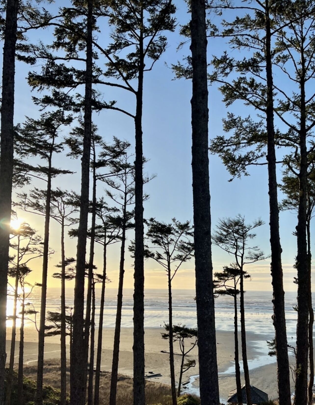 Nær stranden og strandhåndklær
