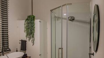 Shower, towels, soap, toilet paper