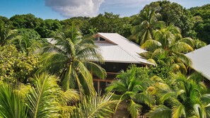 Ein Haus, umgeben von üppiger Vegetation und Palmen.