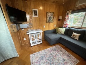 Smart TV, DVD player, video library - Lakefront Tiny Cabin with Hot Tub and Fire Pit (Oakland)