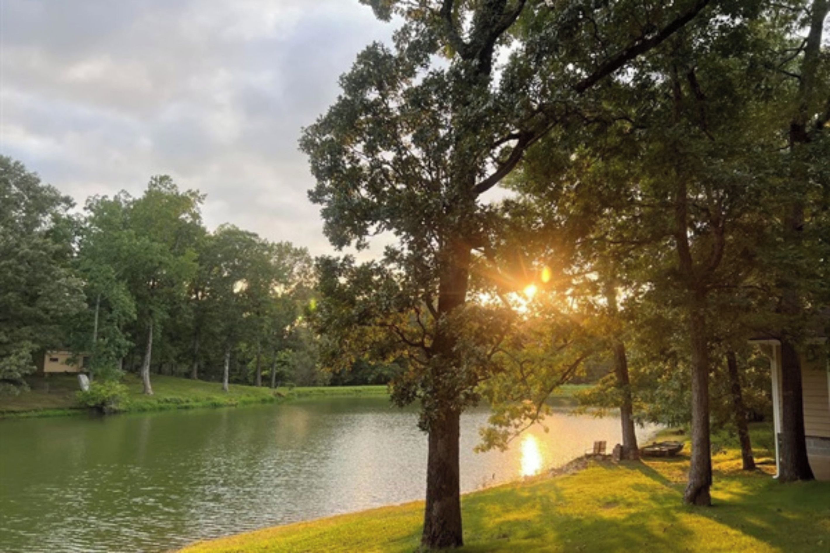 A serene lakeside setting with a tree in the foreground, a grassy area, and a building in the background.