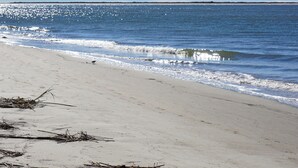 Una spiaggia con una battigia sabbiosa e onde oceaniche.