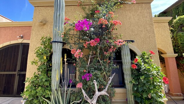 Un giardino curato con un cactus, piante fiorite e una scultura arborea decorativa.