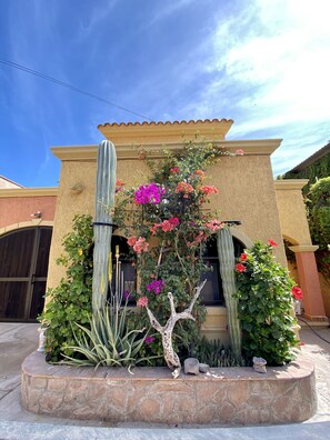 المنطقة المحيطة بالمنشأة