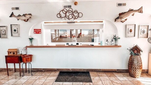 Zona de recepción con mostrador, cuadros enmarcados y una decoración de peces en la pared.