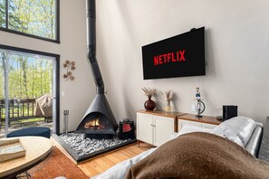 Télévision, cheminée, jeux vidéo, table de tennis de table