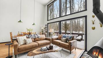 TV, fireplace, video games, ping pong