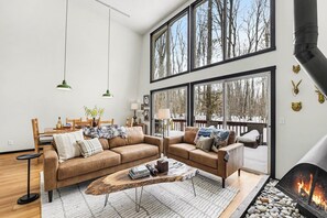 TV, fireplace, video games, ping pong