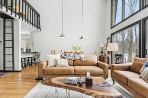 TV, fireplace, video games, ping pong