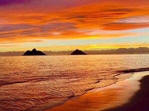 Enjoy a serene beach experience with calm waters and gentle waves lapping at the shore.