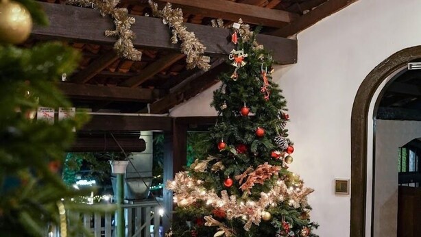 A Christmas tree decorated with ornaments and lights in a room with wooden beams on the ceiling. - Le meilleur (George Town)