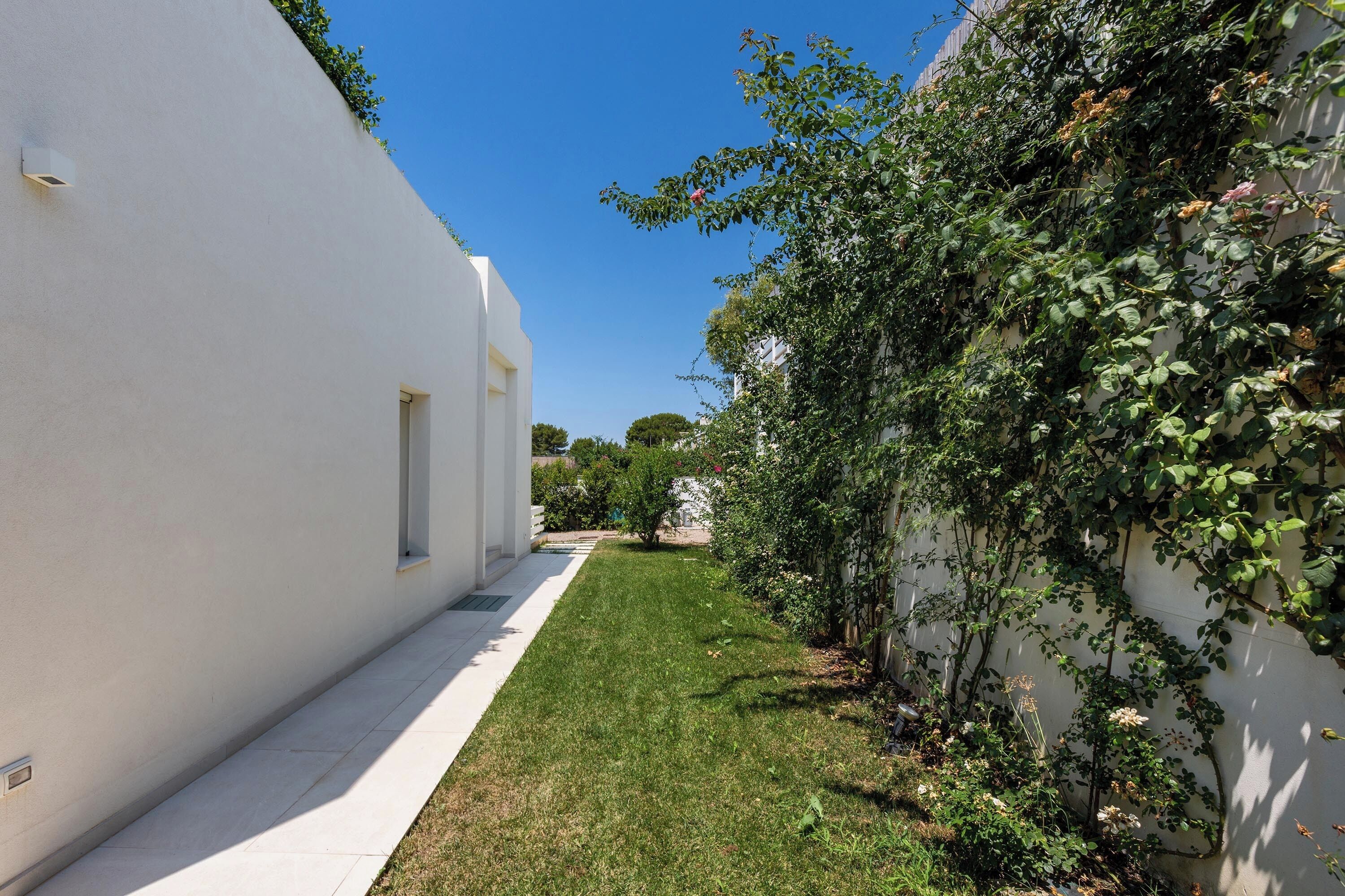 Un patio estrecho con paredes blancas, un césped cuidado y una pared cubierta de plantas trepadoras.
