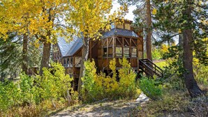 A wooden cabin with a metal roof, surrounded by trees and shrubs. - Walk to the Lake Amazing 5 Bedrm - VH#343 by Bear Valley Vacation Rentals (Arnold)