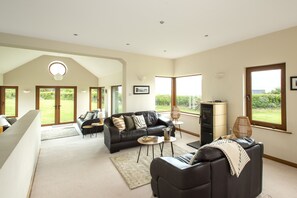 TV, fireplace, books